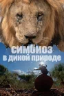  Симбиоз в дикой природе смотреть онлайн сериал 1 сезон 